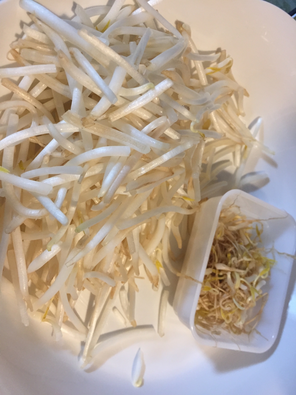 もやしのヒゲ取り Eatpick もやしのヒゲ取り Eatpick