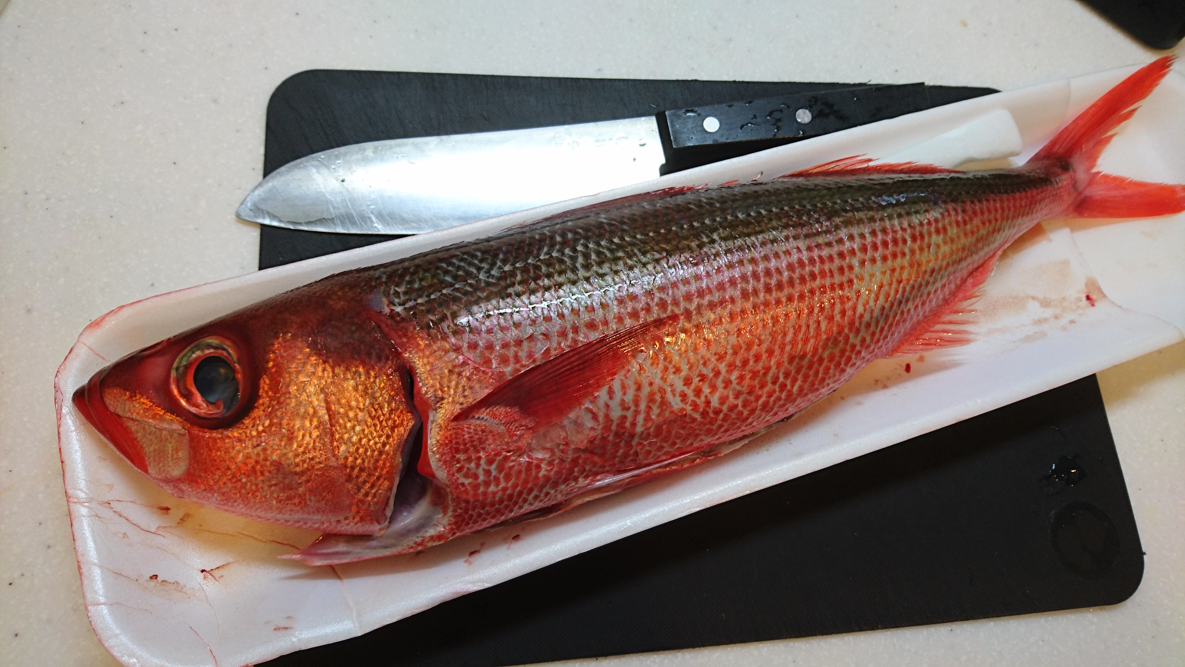 おうちで姿造り 何の魚か当てれたらスゴい Eatpick