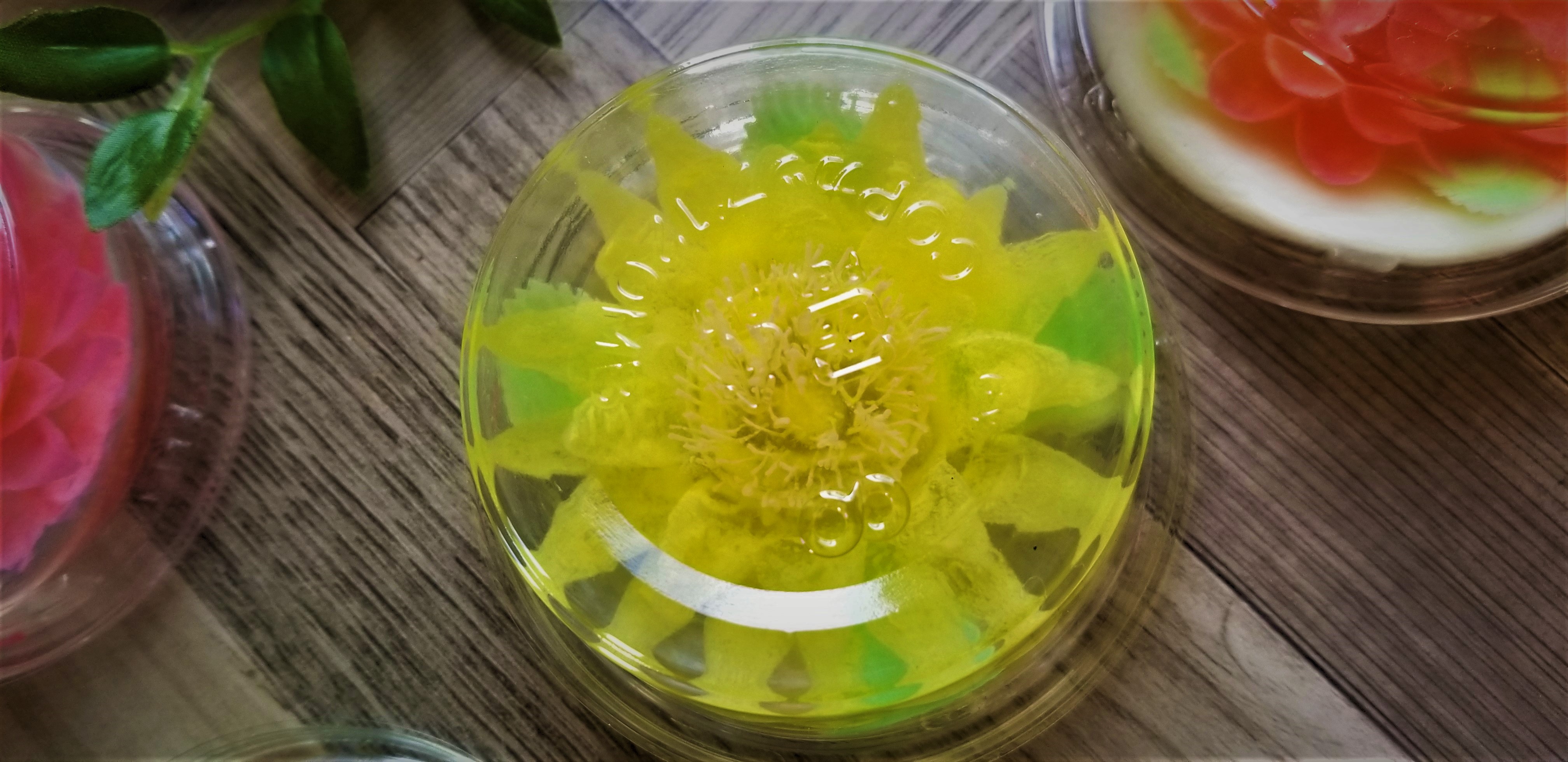 ビストロコラム フラワーゼリー 入門編 Eatpick