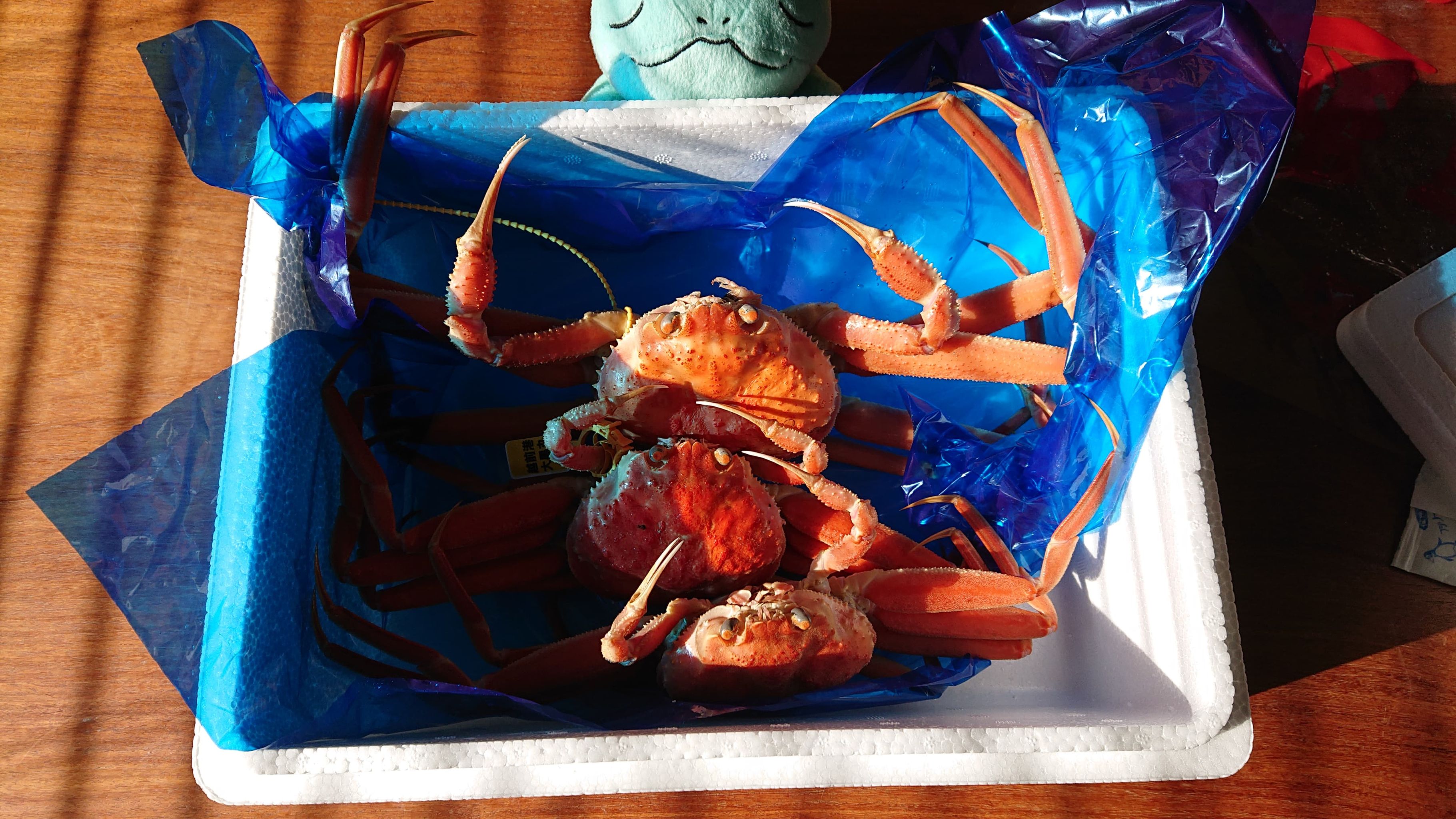 絶品 越前カニ 海の恵みに感謝 Eatpick 絶品 越前カニ 海の恵みに感謝 Eatpick