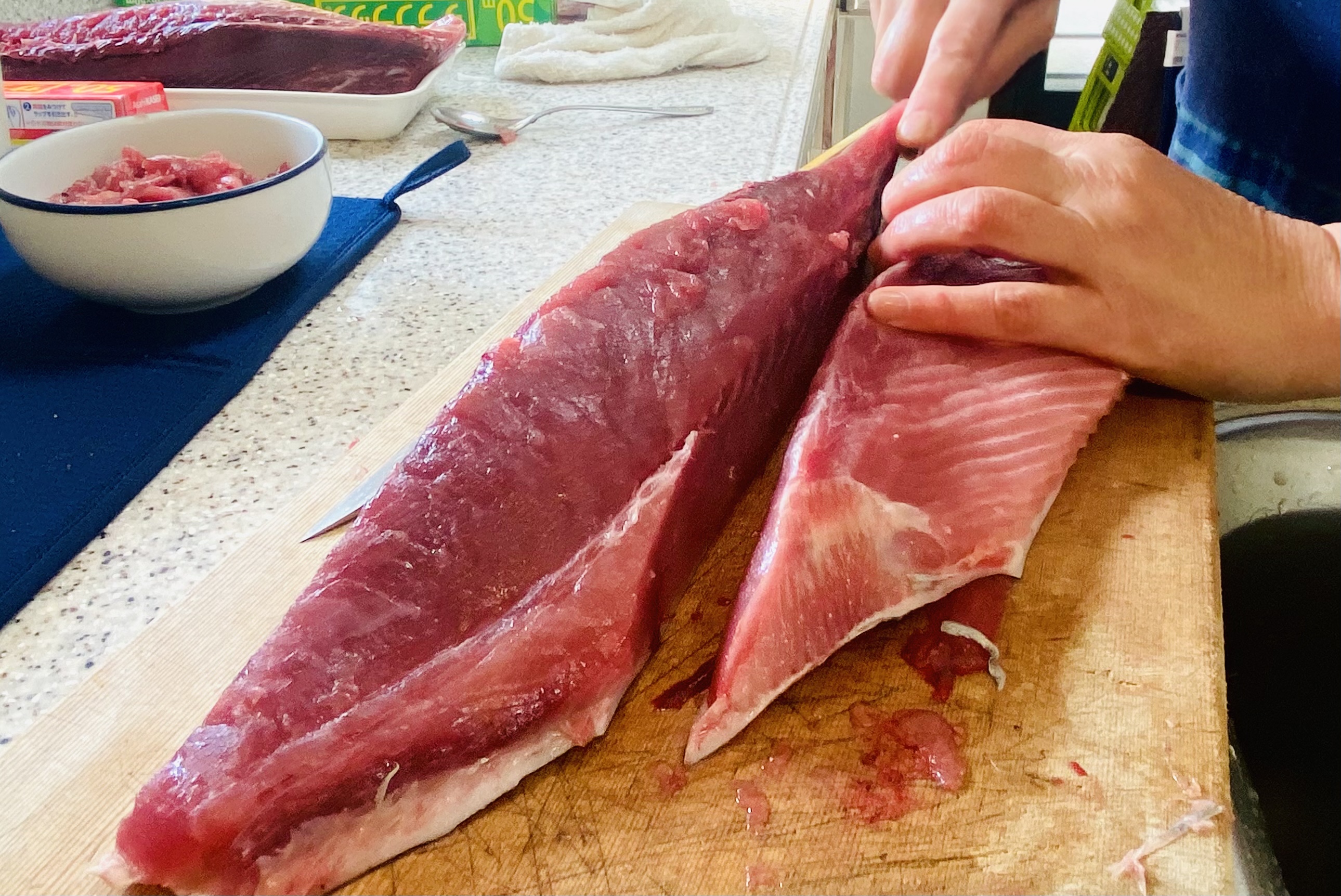 福井で獲れるメジマグロ 最盛期です Eatpick 福井で獲れるメジマグロ 最盛期です Eatpick