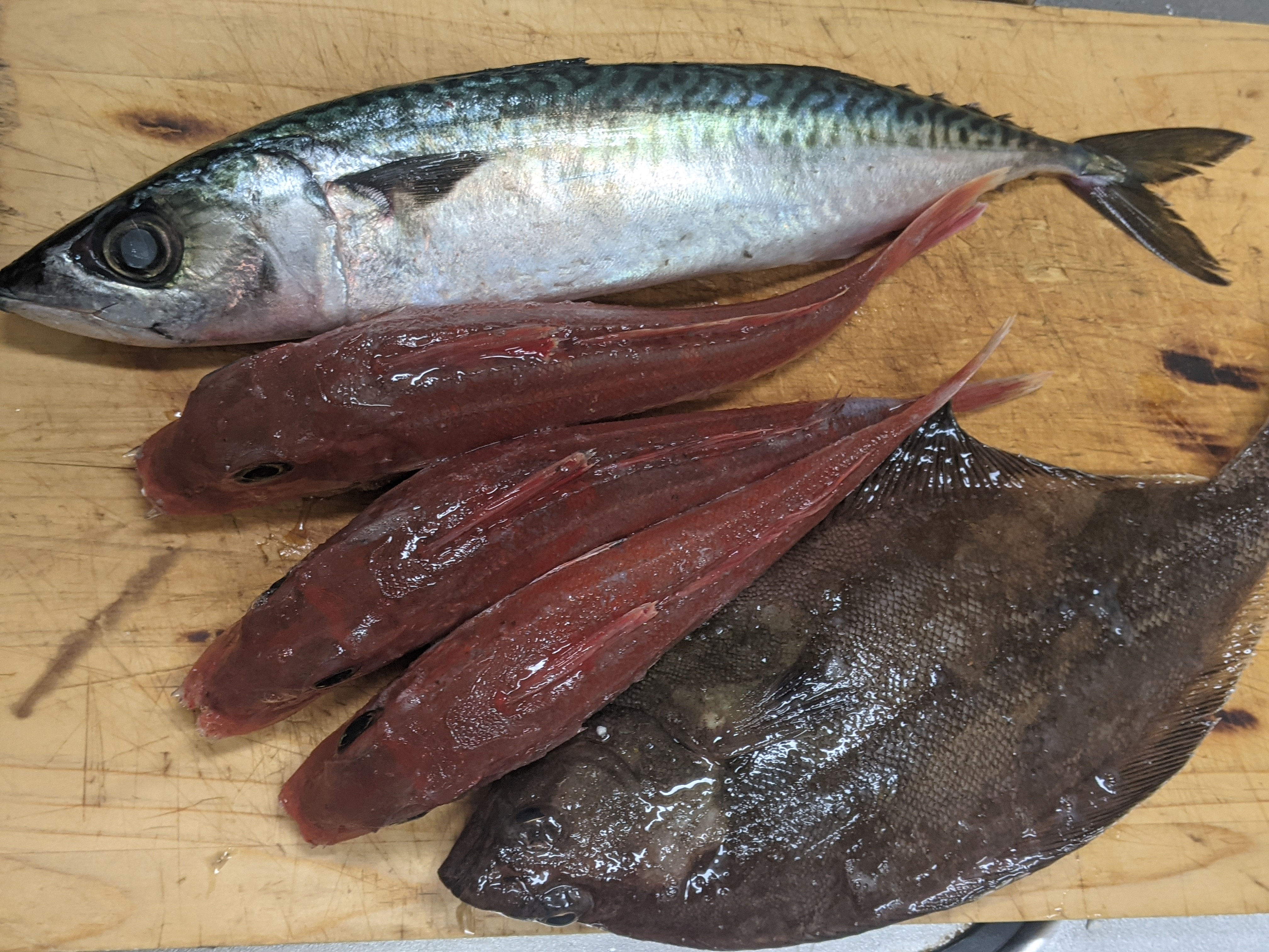 魚料理いっぱい Eatpick 魚料理いっぱい Eatpick