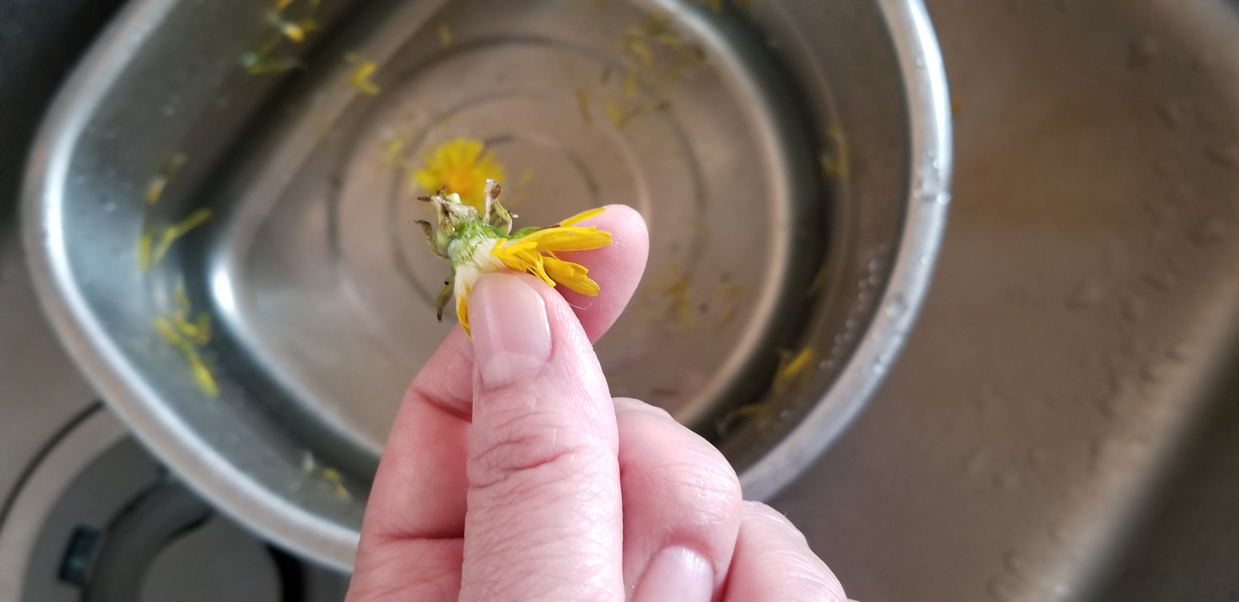 たんぽぽの食べ方 Eatpick