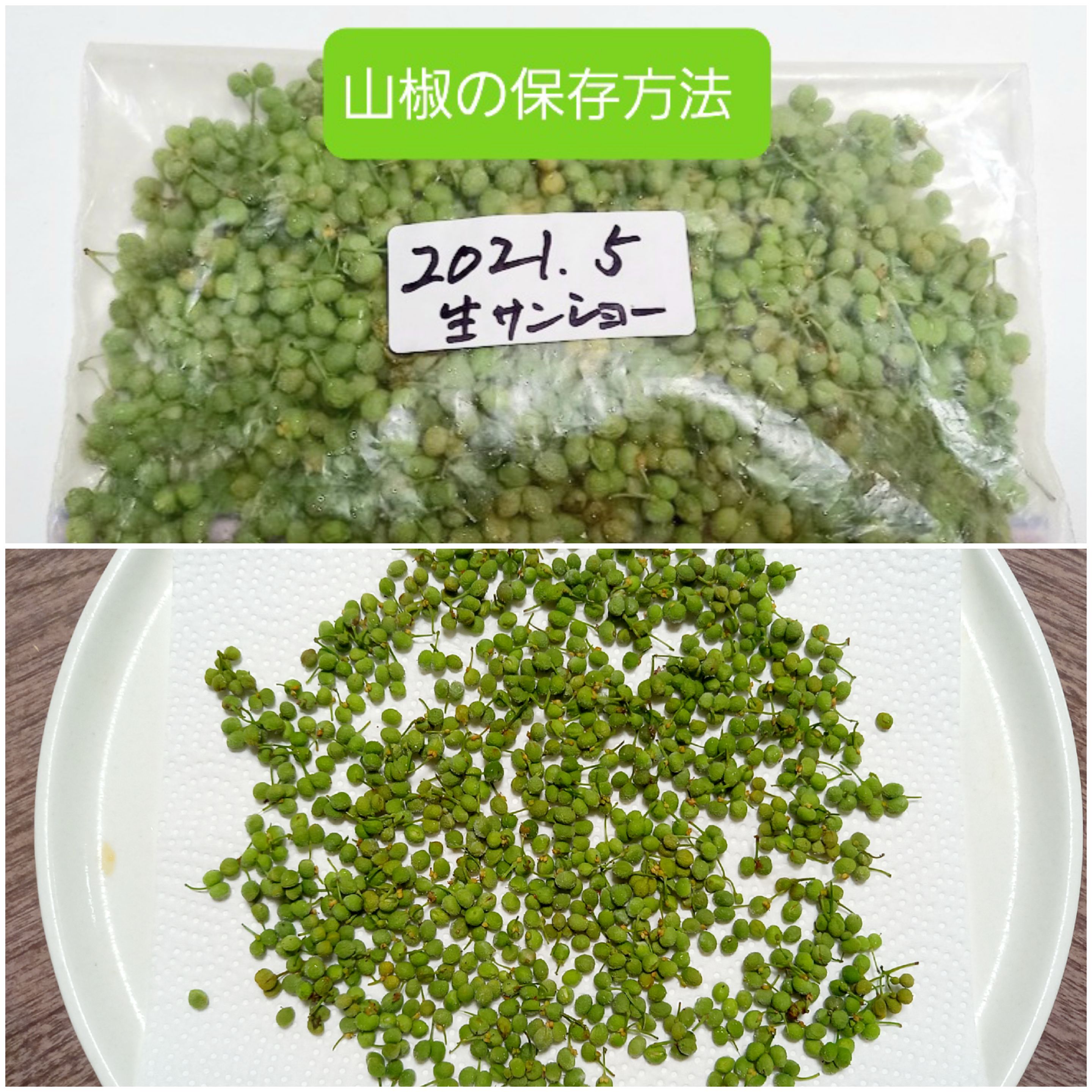 生山椒の実の保存方法 Eatpick 生山椒の実の保存方法 Eatpick