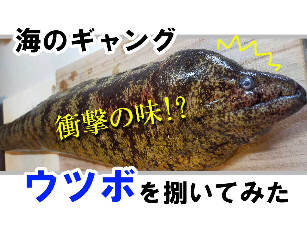 ウツボを捌いて食べてみたら Eatpick