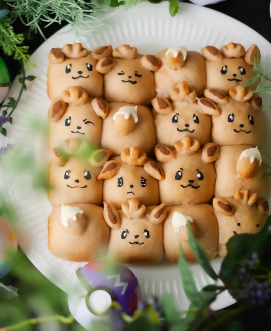 野生のイーブイが大量にあらわれた Eatpick