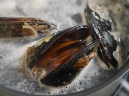 瀬戸内海の希少な貝 瀬戸貝を頂きました さあ どうしよ Eatpick 瀬戸内海の希少な貝 瀬戸貝を頂きました さあ どうしよ Eatpick