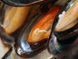 瀬戸内海の希少な貝 瀬戸貝を頂きました さあ どうしよ Eatpick 瀬戸内海の希少な貝 瀬戸貝を頂きました さあ どうしよ Eatpick
