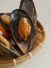 瀬戸内海の希少な貝 瀬戸貝を頂きました さあ どうしよ Eatpick 瀬戸内海の希少な貝 瀬戸貝を頂きました さあ どうしよ Eatpick