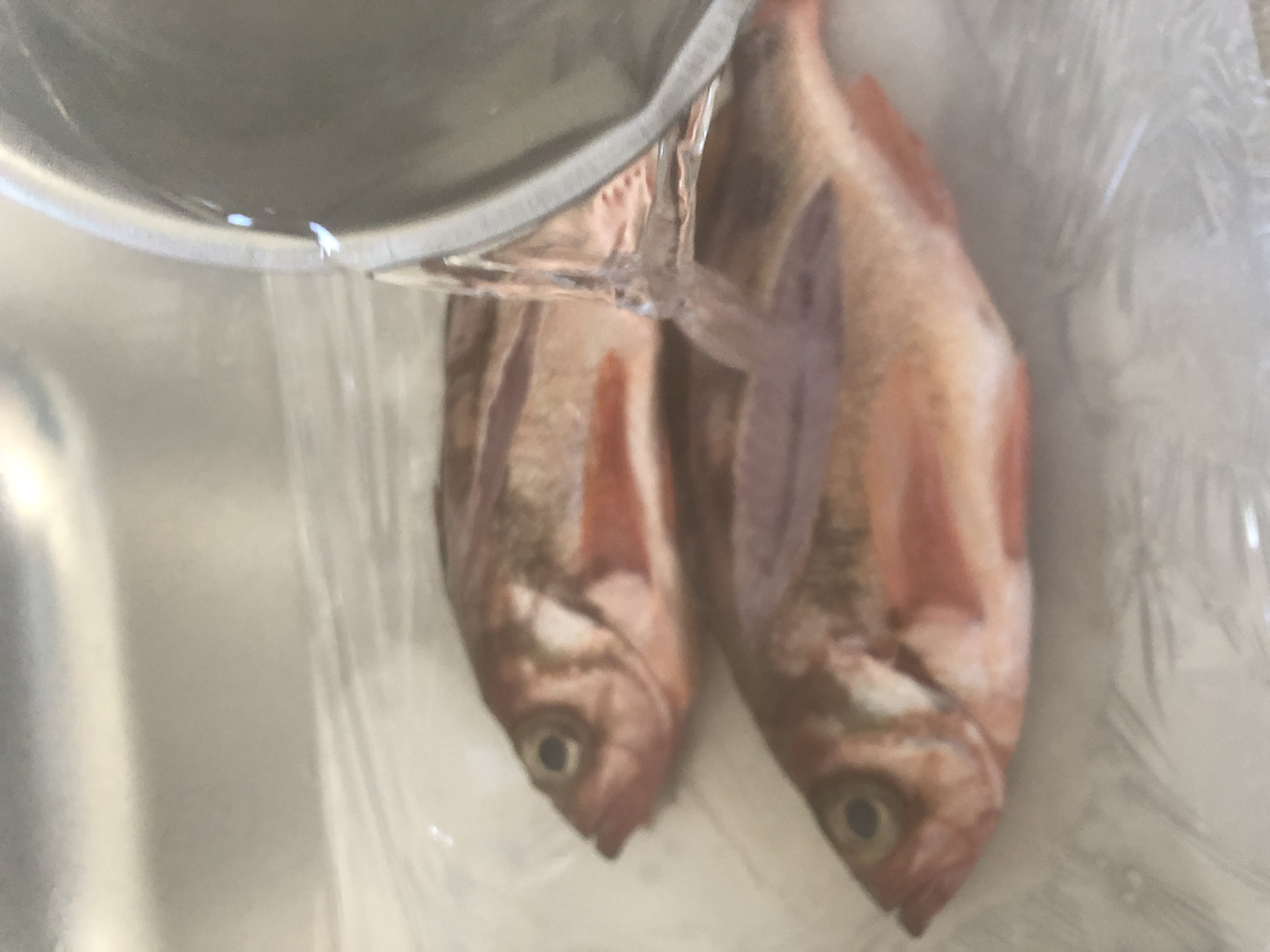 メバルの煮付け 基本の煮魚 Eatpick