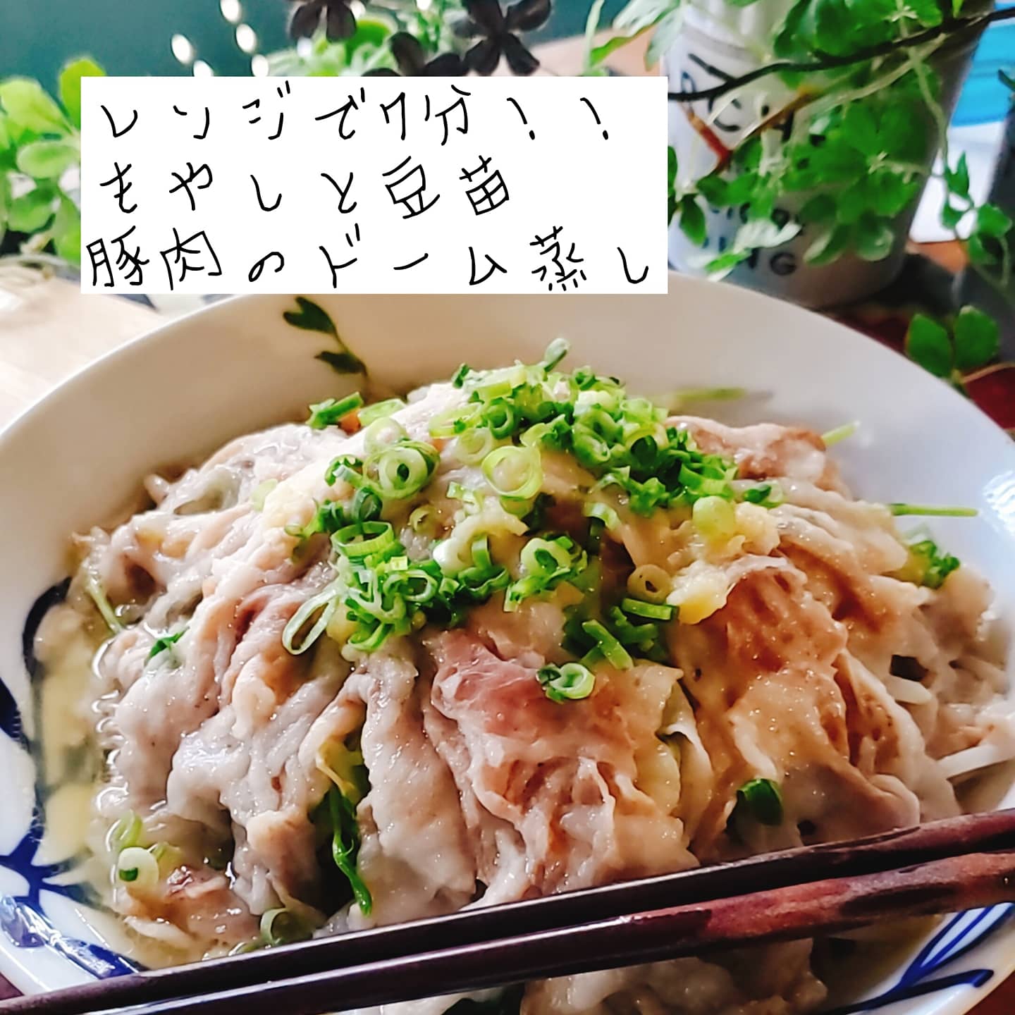 レンジで7分 もやしと豆苗豚肉のレンジ蒸し Eatpick レンジで7分 もやしと豆苗豚肉のレンジ蒸し Eatpick